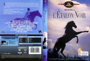 DVD AVENTURE L'ETALON NOIR