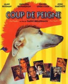 DVD COMEDIE COUP DE PEIGNE