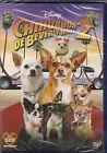 DVD COMEDIE LE CHIHUAHUA DE BEVERLY HILLS 2