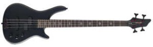 BASSE STAGG BC300