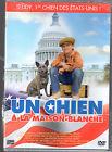 DVD ENFANTS UN CHIEN A LA MAISON BLANCHE