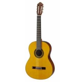 GUITARE WALDEN N310T