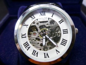 ردود الفعل مجرد تأثير skyline automatic montre prix - cazeres-arthurimmo.com