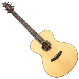 GUITARE BREEDLOVE DISCOVERY CONCERT LH