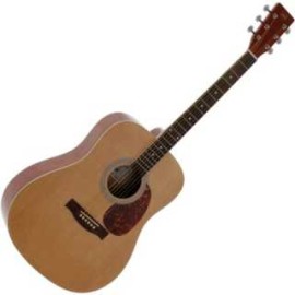 GUITARE VGS RT VOYAGE