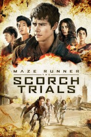 BLU-RAY  SCORCH TRIALS TERRE BRULEE