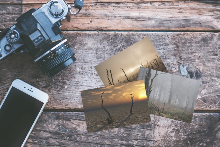 Smartphone ou appareil photo, que choisir pour des photos de top qualité ?