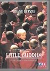 Little buddha