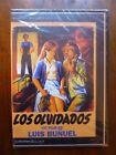 Los olvidados