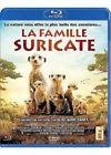 La famille suricate