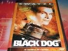 Black dog