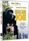 Mon ami joe