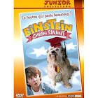 Einstein chien savant