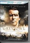 Grey owl