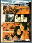 Black cat run