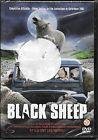 Black sheep