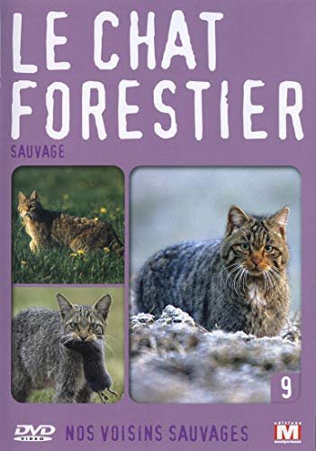 Nos voisins sauvages vol. 9 - le chat forestier : sauvage