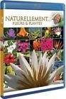 Antoine - naturellement... - fleurs & plantes