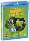 1001 pattes