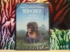 Bonobos