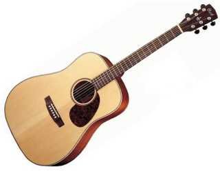 Guitare folk earth 100