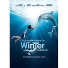 L'incroyable histoire de winter le dauphin