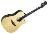 Guitare eg510sc