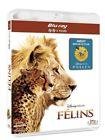 Felins