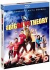 The big bang theory - season 5 (saison 5)
