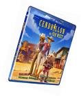 Cendrillon au far west