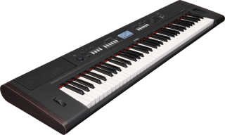 Clavier piaggero np-v80