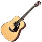 Guitare fg720s
