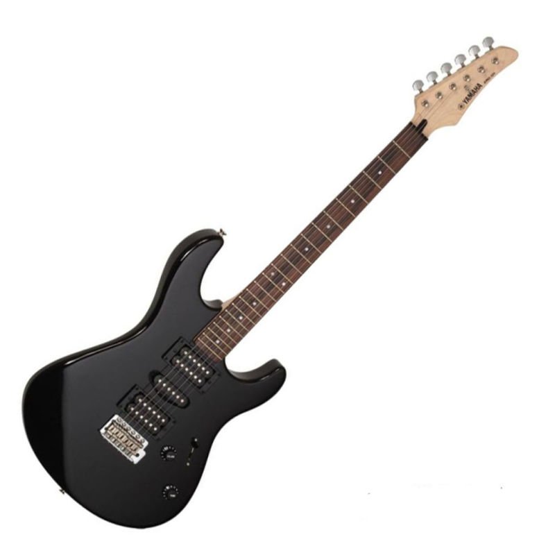 Guitare erg 121
