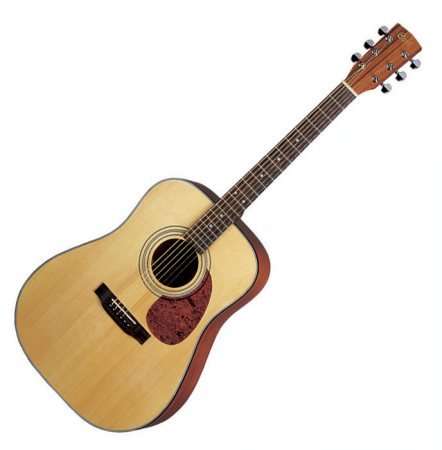 Guitare ad850ns