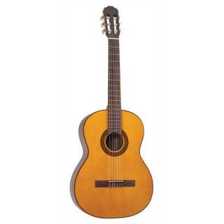 Guitare g124
