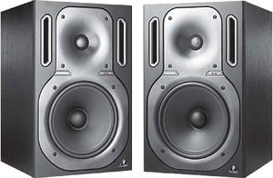 Enceinte de monitoring truth b2031a