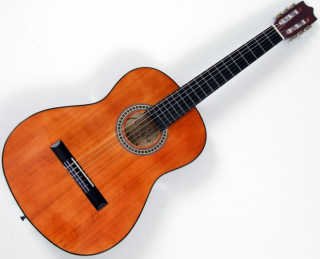 Guitare c20