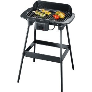 Barbecue pg 8521