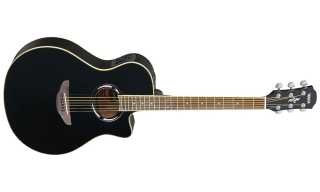Guitare apx500ii