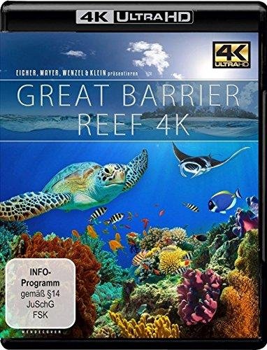 The reef