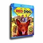 Red dog