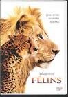 Felins