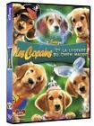 Les copains et la legende du chien maudit