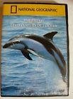 National geographic - dauphins, les danseurs de l'ocean