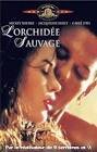 L'orchidee sauvage