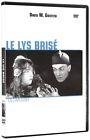 Le lys brise