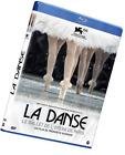 La danse - le ballet de l'opera de paris