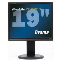 Ecran pc 19" prolite b1906s