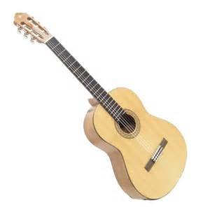 Guitare c30m ii