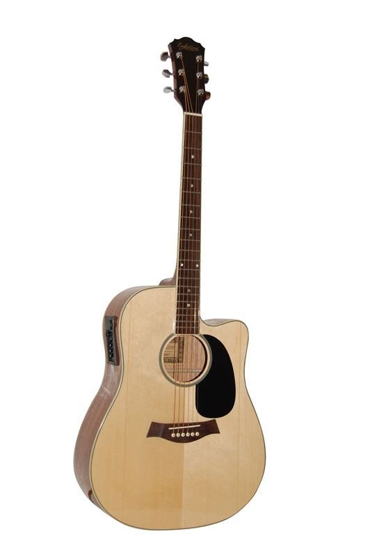 Guitare acoustique dg-1